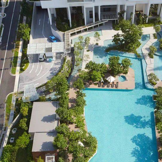 全球名校认可的高中国际文凭，新加坡学生通过率近98%