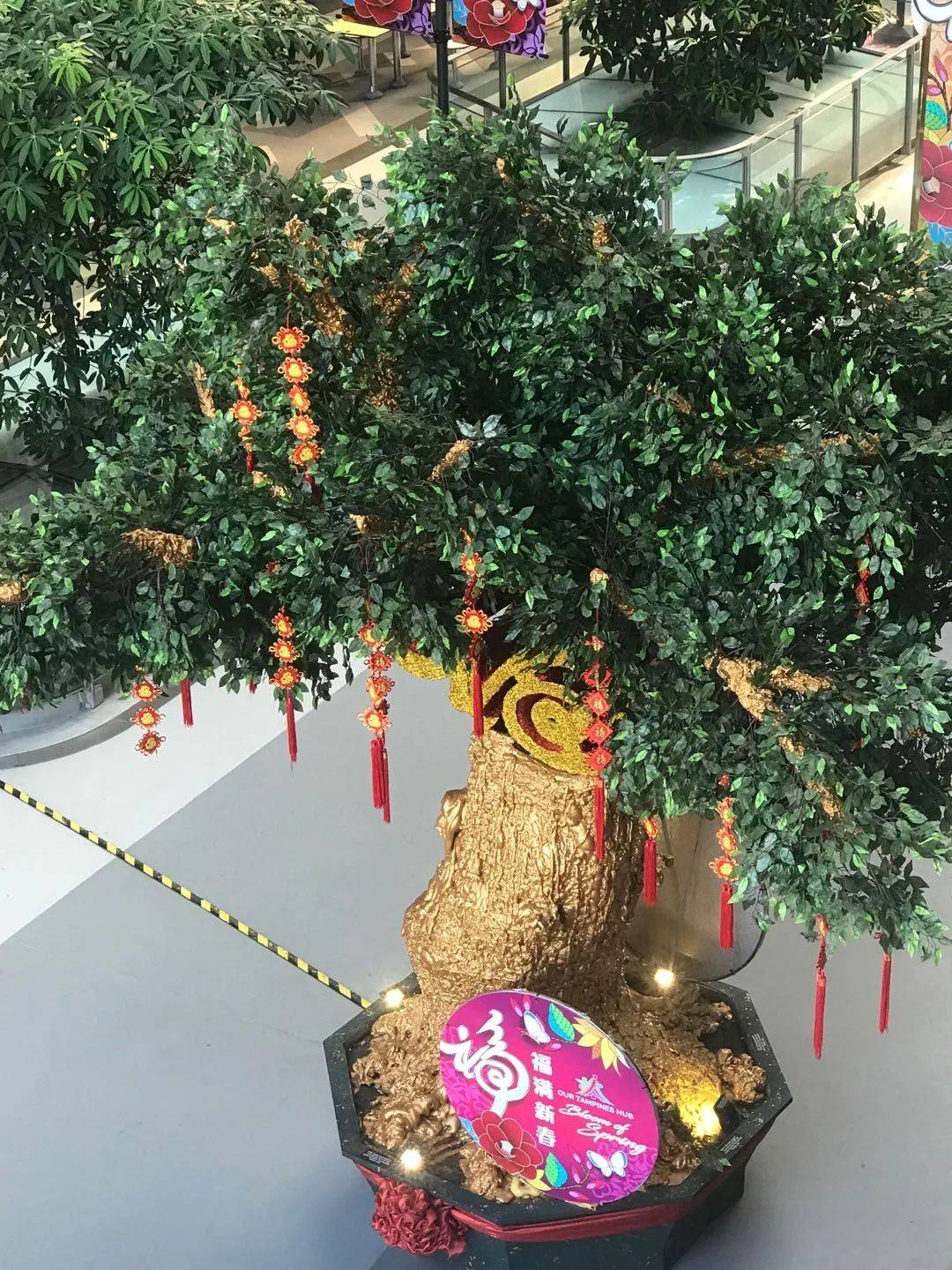 新加坡公立大学学费大盘点！贵不贵，值不值