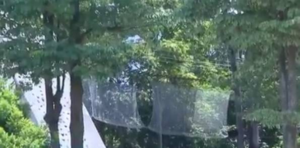 少年参加户外活动不幸身亡，引本地家长担忧