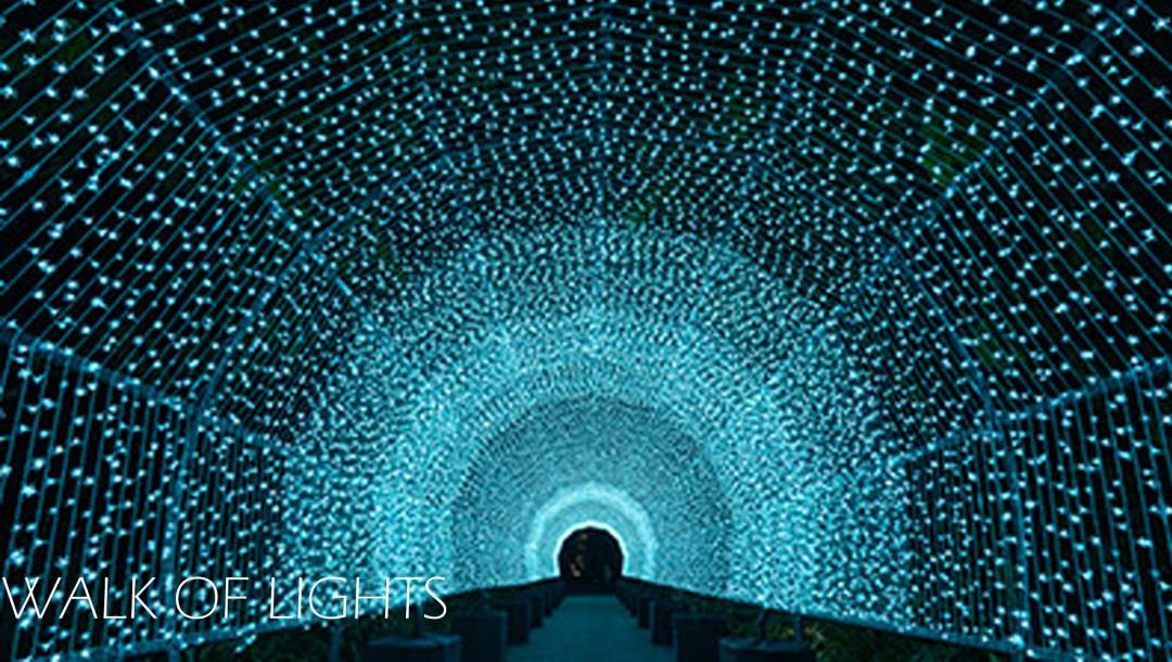 来新加坡，过一个暖暖的圣诞季