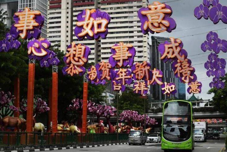 新加坡唐人街解锁网红打卡新姿势，网友：满满的丰收味儿