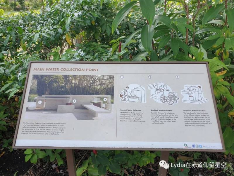 新加坡也有温泉 三巴旺温泉公园