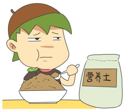 “疫情之后，我到底入籍新加坡还是只拿绿卡？”去年，公民家庭补贴达3800新币