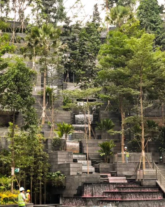 新加坡樟宜机场全方位解读