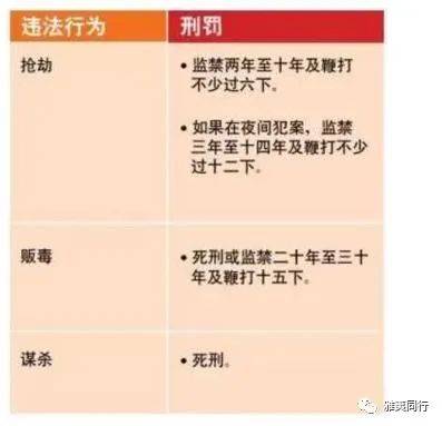 到新加坡旅游留意28条法律,避免踩雷还能省钱,破财事小,坐牢事大