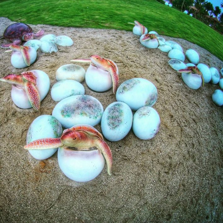 tumblr_o30aeuujwd1ux1f3mo1_1280