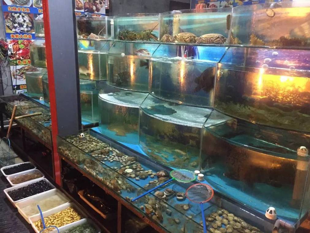 新加坡这家海鲜音乐餐厅要火！人均不到$40，还有现金红包免费领