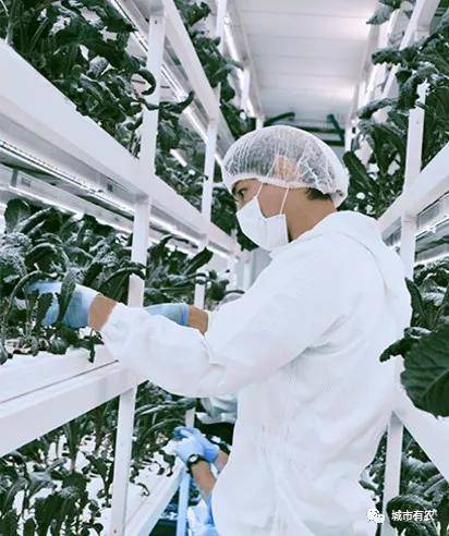 新加坡重视农业科技发展，对中国农业有何启示