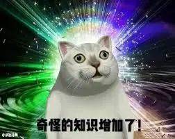 国内朋友以为我在新加坡的生活 VS 我实际上的生活