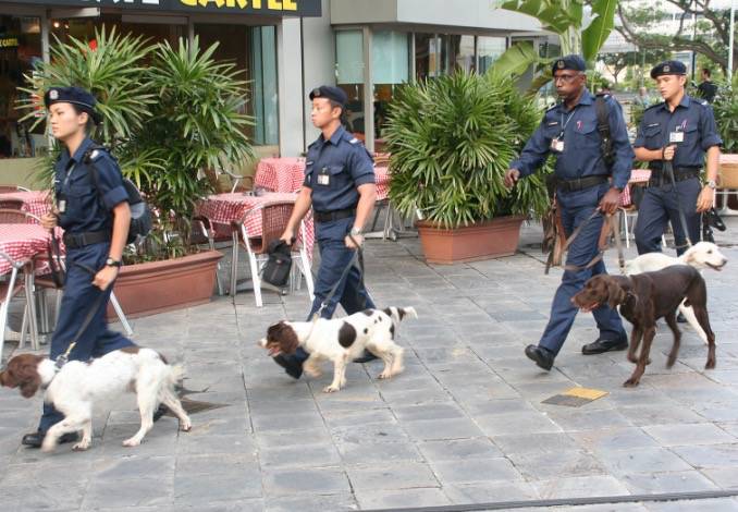 中国出现1传102超级传播者，新加坡又有新感染群！中新专家揭秘：这波疫情不一样