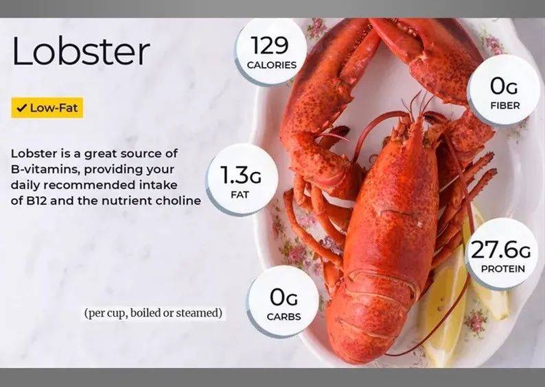 本地又一航空主题餐厅“Lobster Air”！爱吃龙虾的请有序排队登机