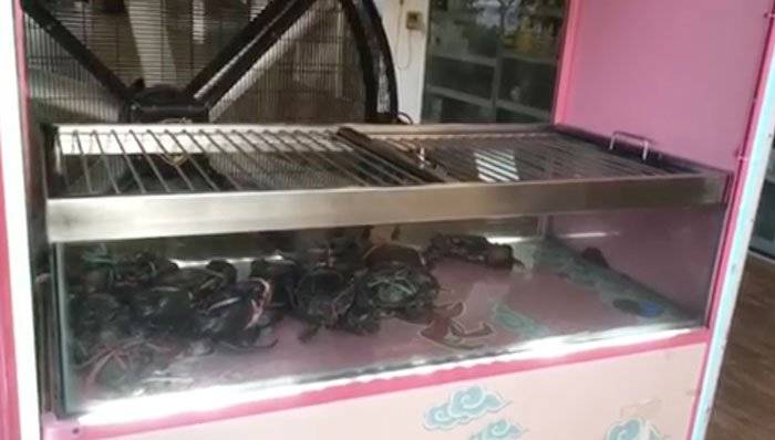 为防偷蟹贼 店家打造“螃蟹保险箱”