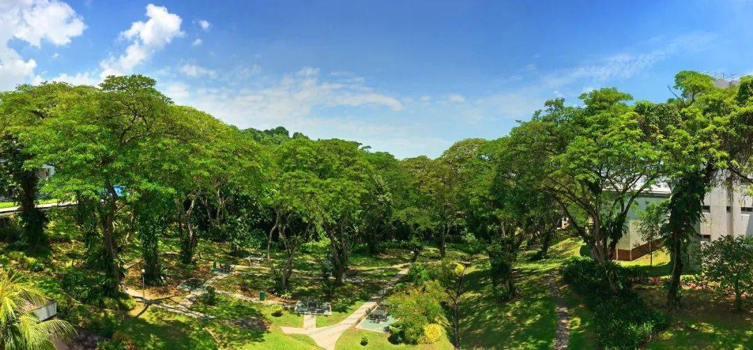 人间四月,来感受新加坡国立大学的春天