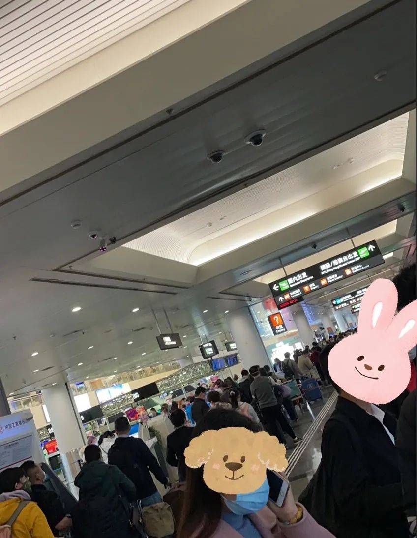 《一个NUS留学生入境新加坡的坎坷之路》