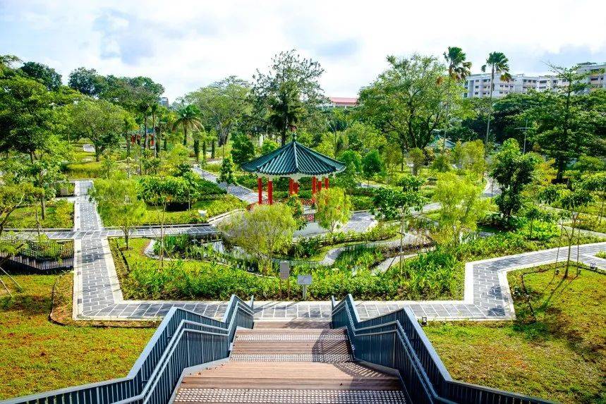 2020，南洋理工大学这一年