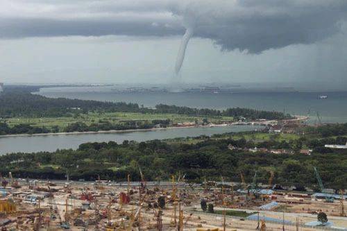 罕见!新加坡圣淘沙这条河变成了粉色,惊现大批死鱼!39年创记录暴雨太作了