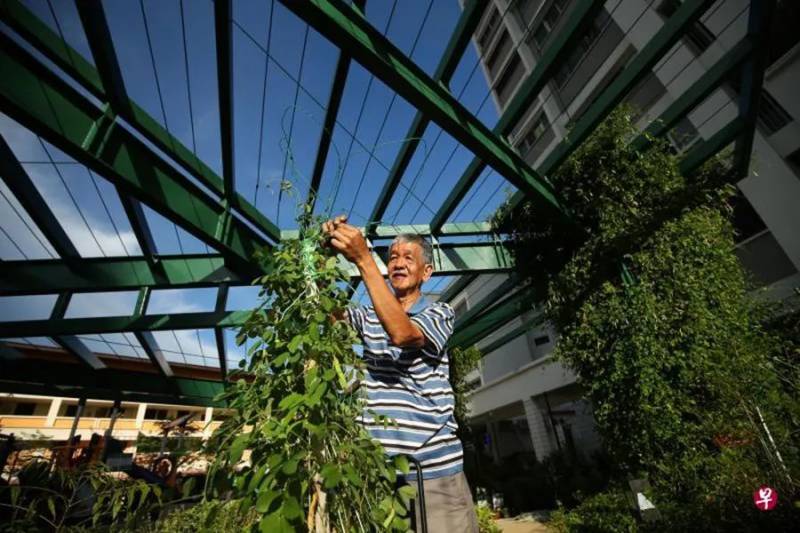 新加坡“再创我们的家园”计划