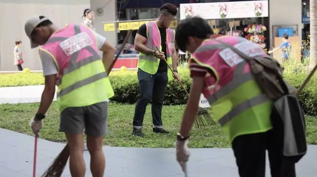 四人在新加坡喂野猪犯法，共被罚1万新币！这些罚款规定太多人踩雷