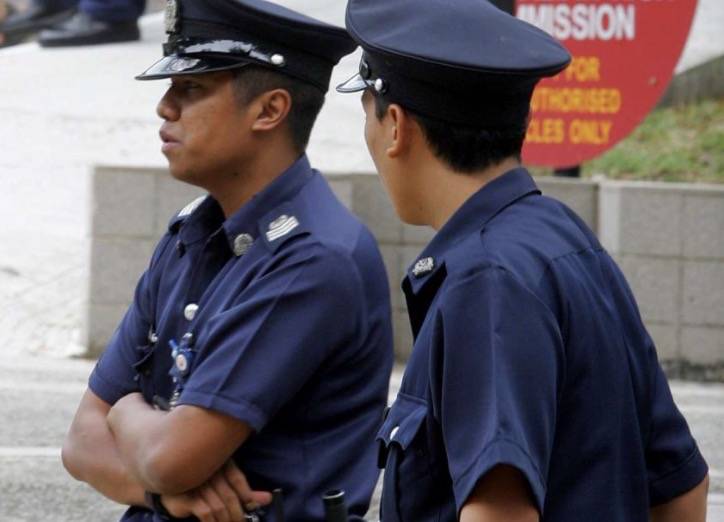 四人在新加坡喂野猪犯法，共被罚1万新币！这些罚款规定太多人踩雷