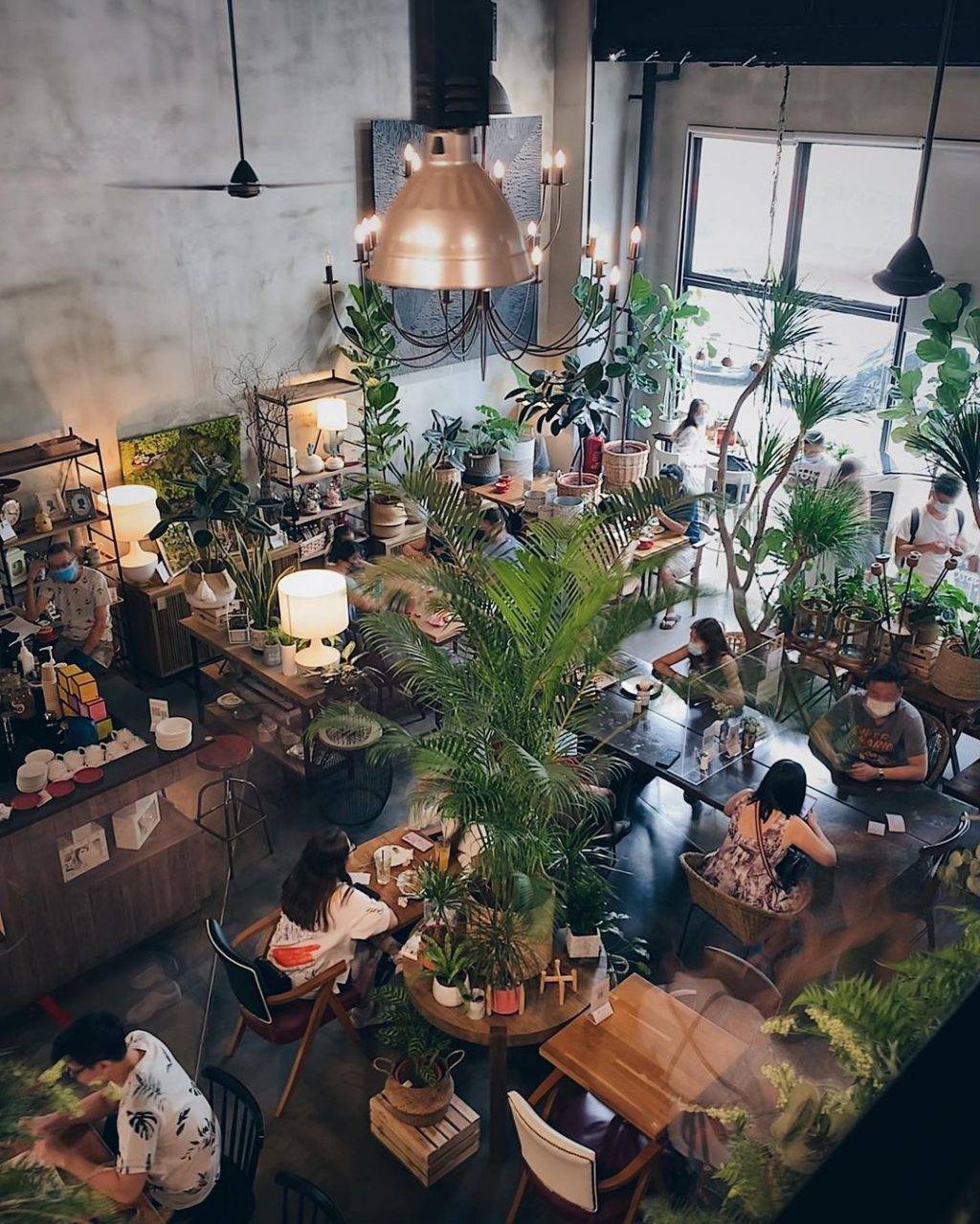 森林花园咖啡馆Knots Cafe & Living🌿被绿植盆栽围绕、置身世外桃源，感受片刻恬静✨