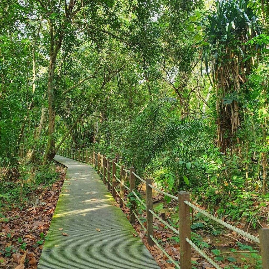 徒步吸氧去🍃Windsor Nature Park湿地公园，隐秘宝藏仙境✨ 3段徒步路径、淡水溪流、沼泽栖息地