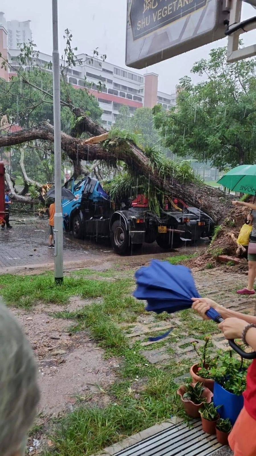 昨天！新加坡遭40年来最强暴雨袭击，全岛多处被洪水淹没，驾车犹如水中行船