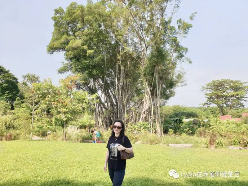 新加坡也有温泉 三巴旺温泉公园