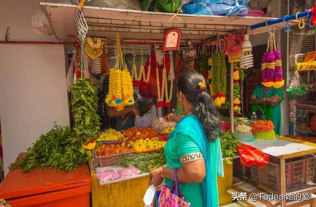 凭什么去新加坡都为它刷屏