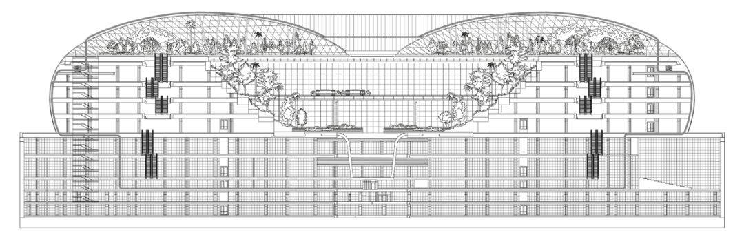 新加坡樟宜机场全方位解读