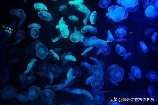 新加坡不枉此行的10大看点（中）分三集介绍