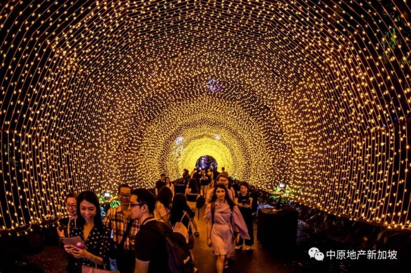 HOHOHO! 新加坡2020年圣诞节最受欢迎的5个拍照打卡景点