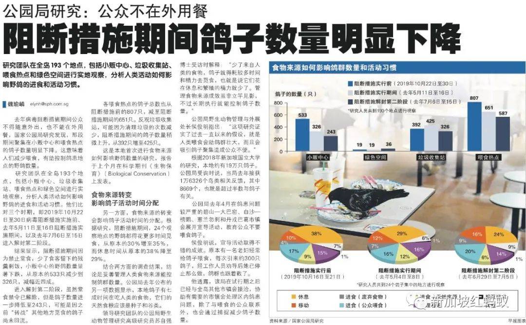 新加坡的鸟患和野猪野猴之患,究竟是谁侵犯了谁的地盘