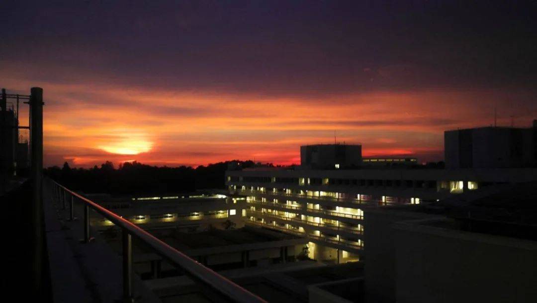 南洋理工大学，每一帧都很美