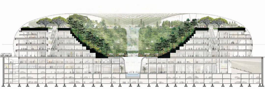 新加坡樟宜机场全方位解读