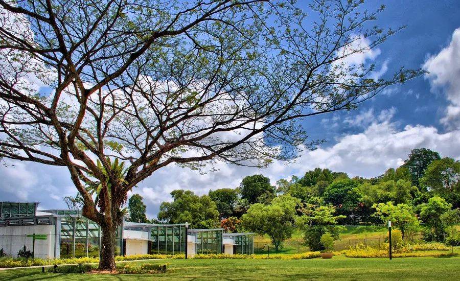 外媒曝海底捞创始人家族，在新加坡壕砸2亿买了个洋房