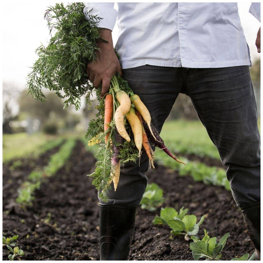 国际首站就在Amoy Street‼米其林厨师汉堡品牌CARNE Burgers🍔2月25日隆重开张🎉