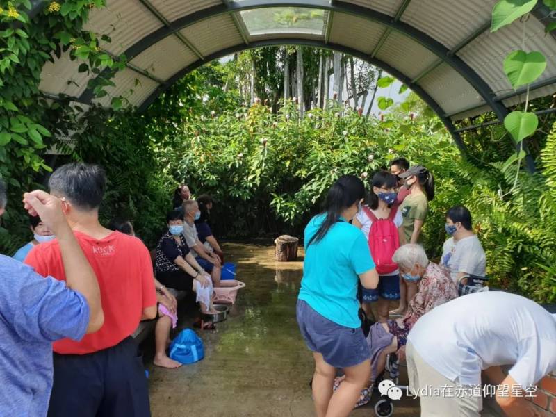 新加坡也有温泉 三巴旺温泉公园