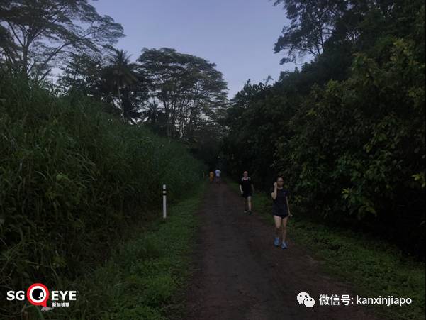 昨天小长假人山人海，武吉知马老铁路成新景点！前生今世大揭秘