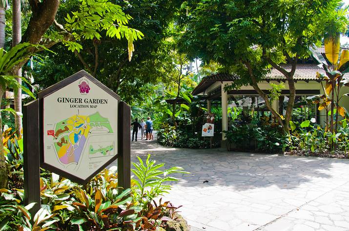 新加坡 10大趣味小知识