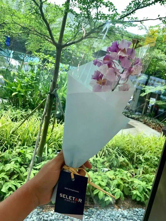 你知道新加坡除了樟宜，还有另一个民用机场吗