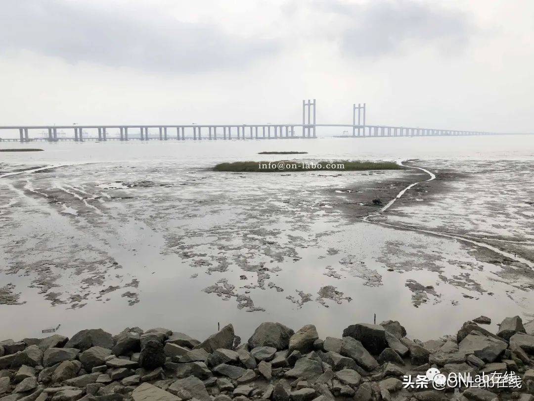 闽南考察笔记:惠安秀涂与新加坡惠安人