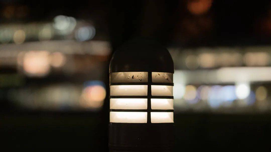 人间四月,来感受新加坡国立大学的春天