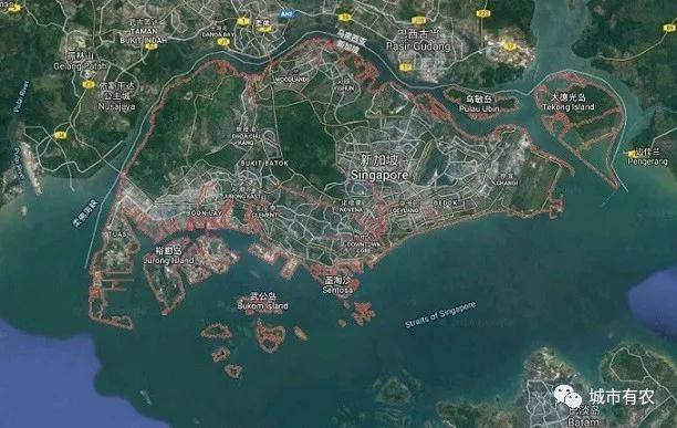 新加坡重视农业科技发展，对中国农业有何启示