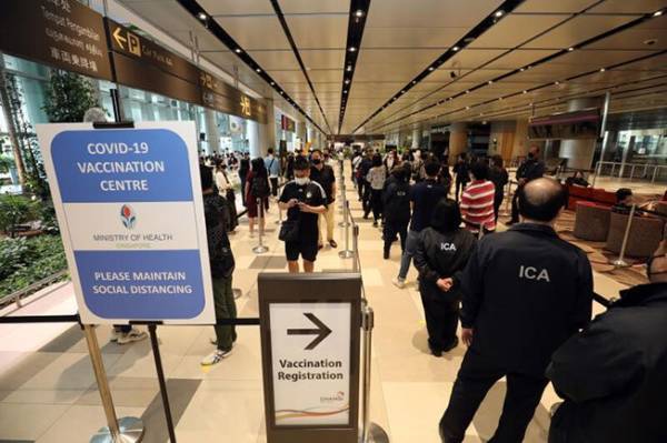 ◤新国CCB◢ 莫德纳疫苗下月抵新 6类人士不建议接种