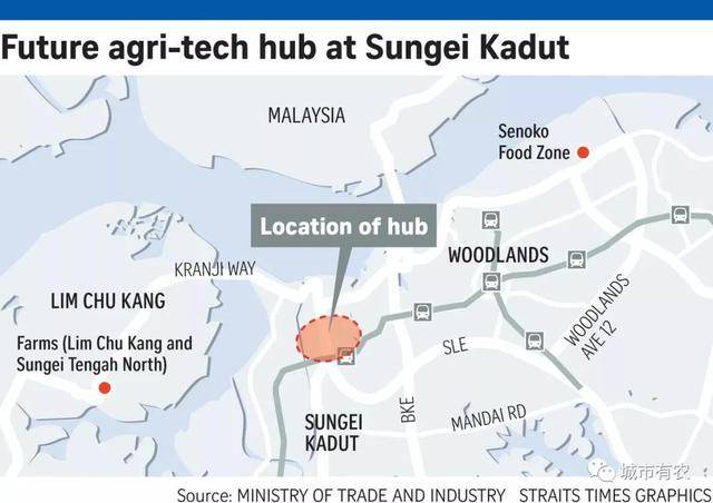 新加坡重视农业科技发展，对中国农业有何启示