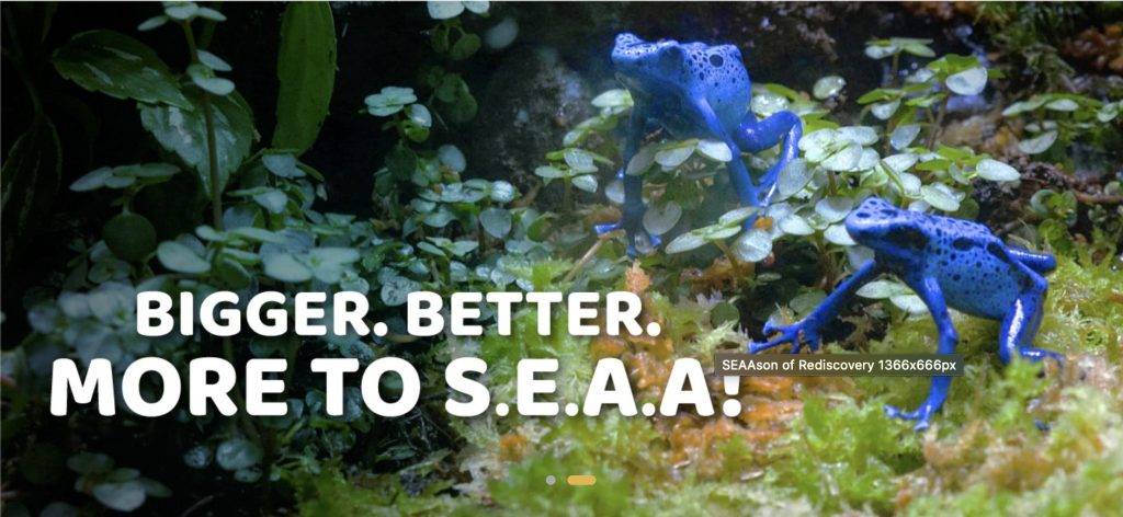 家长必备！2020圣诞🎄遛娃攻略！8个超精彩亲子活动，好玩不重样