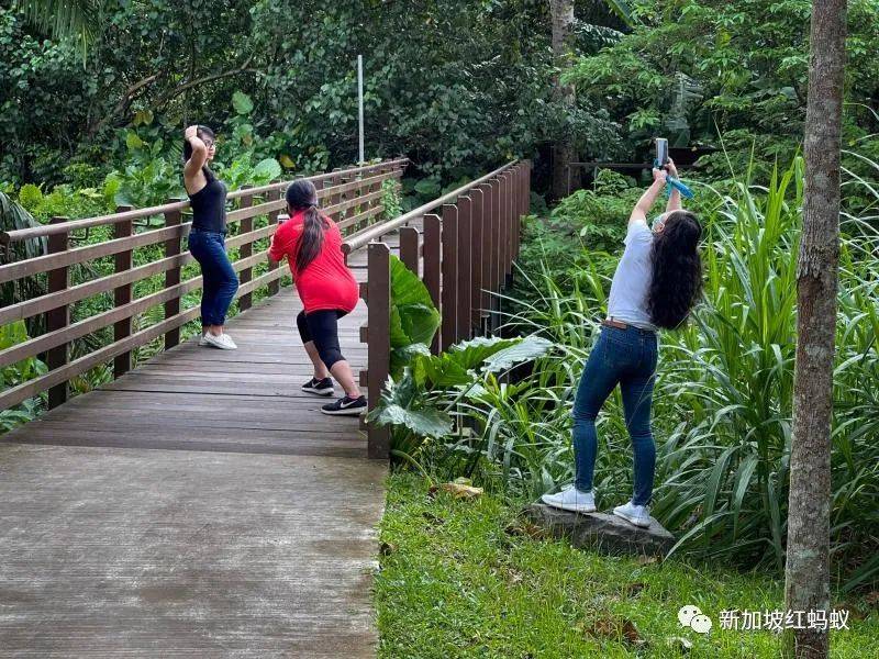 放年假的李显龙总理不能出国，跑去新加坡这些地方打卡
