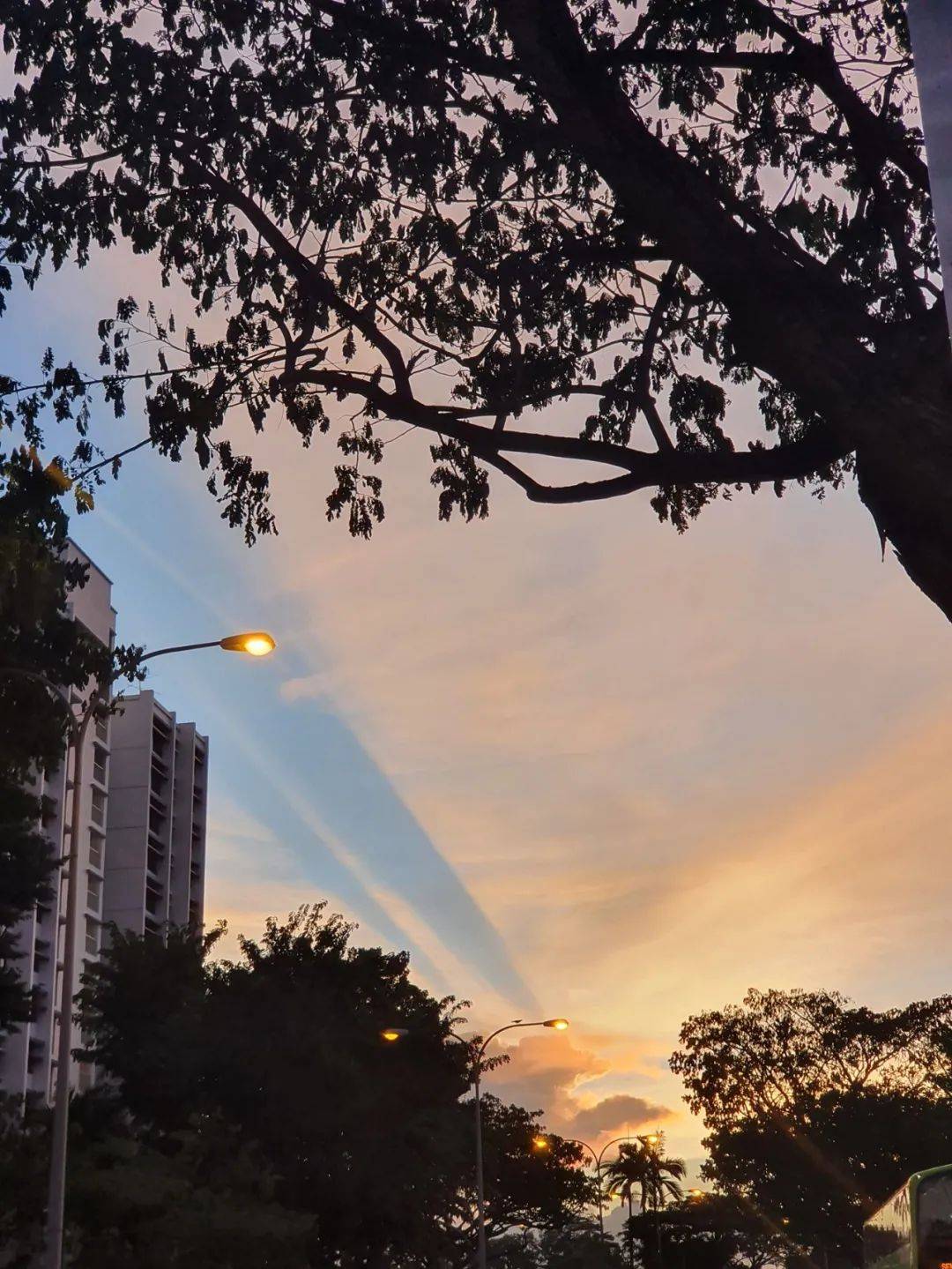 罕见！新加坡再现神奇天象，万道光芒从天空射下，50张美图刷屏