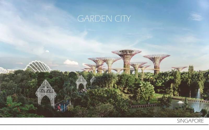 将自然引入城市：新加坡“花园城市”背后的故事