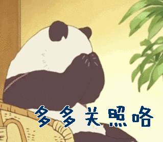 NUS 2020年度成绩单出炉，你还满意吗